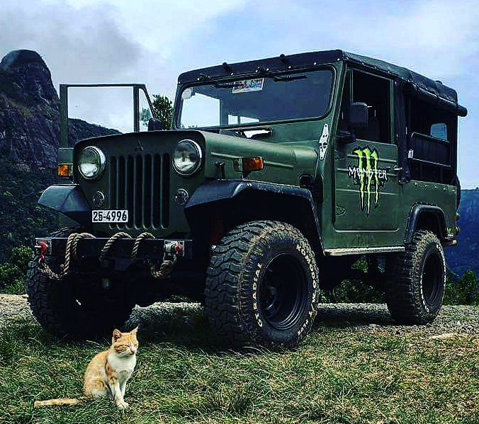 Jeep tours and off-road adventures in Sri Lanka - Family-friendly 4x4 safari experiences exploring wildlife and natural beauty